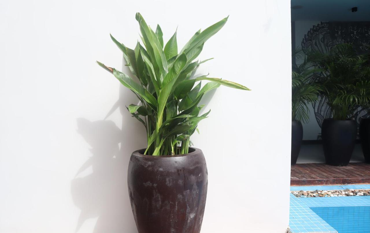 Siem Reap Palace Hotel & Spa מראה חיצוני תמונה